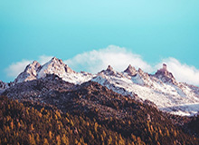 亚冠官方发布安德烈-路易斯集锦，“去年的关键终结者回来了”